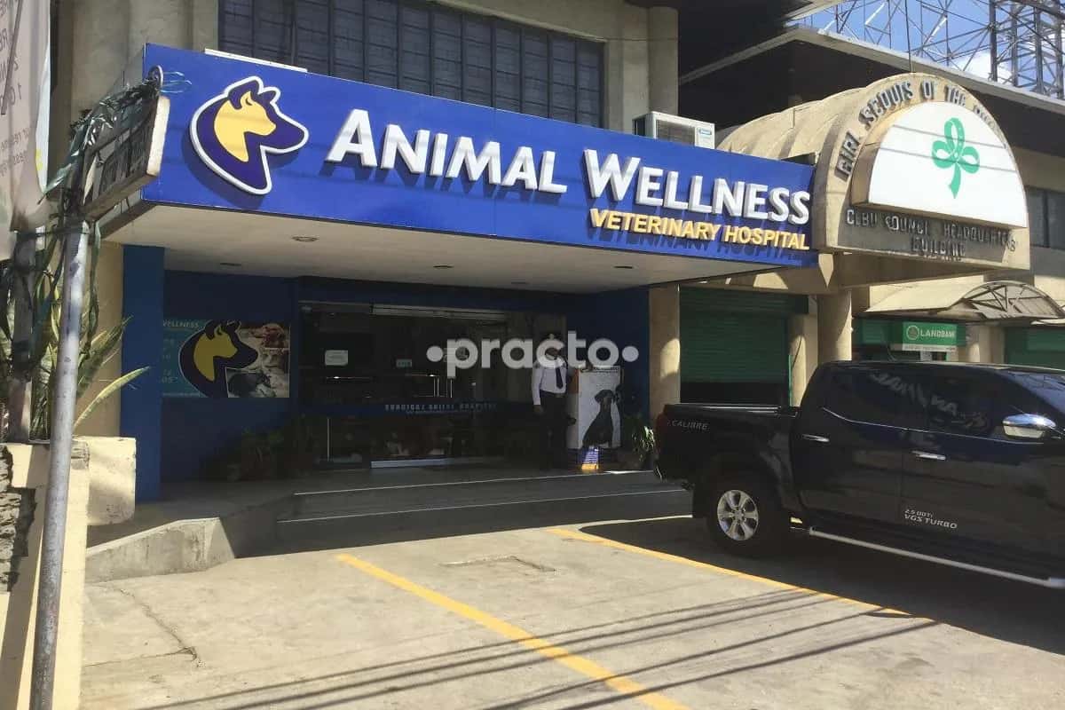 Animal Wellness Veterinary Clinic franchise
