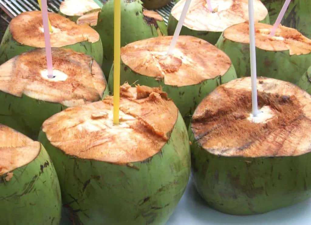 Buko Nut franchise