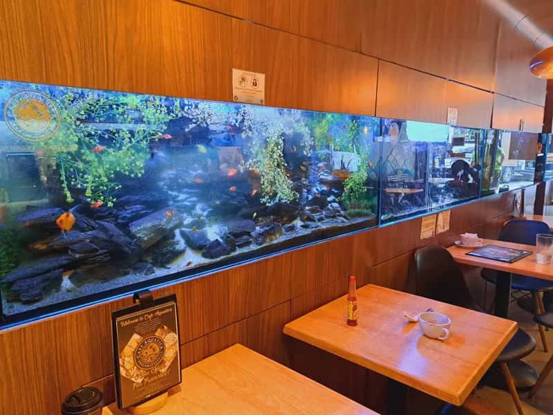 Cafe Aquatica franchise