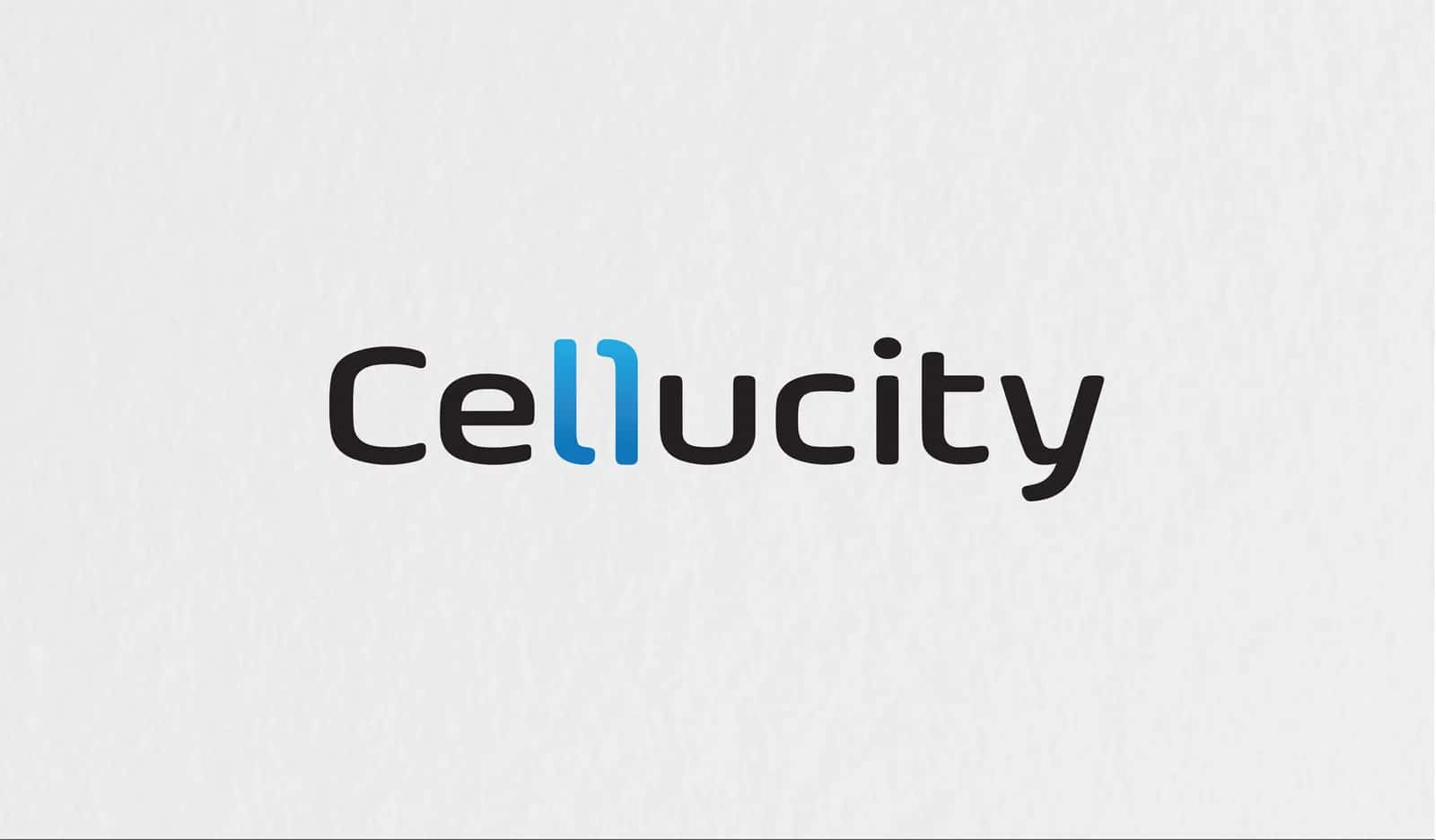 Cellular City franchise