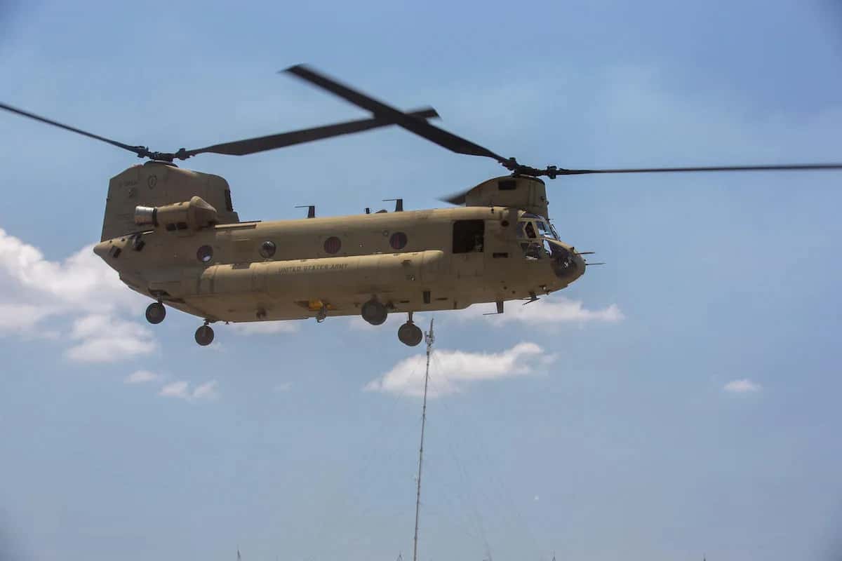 Chinooks franchise