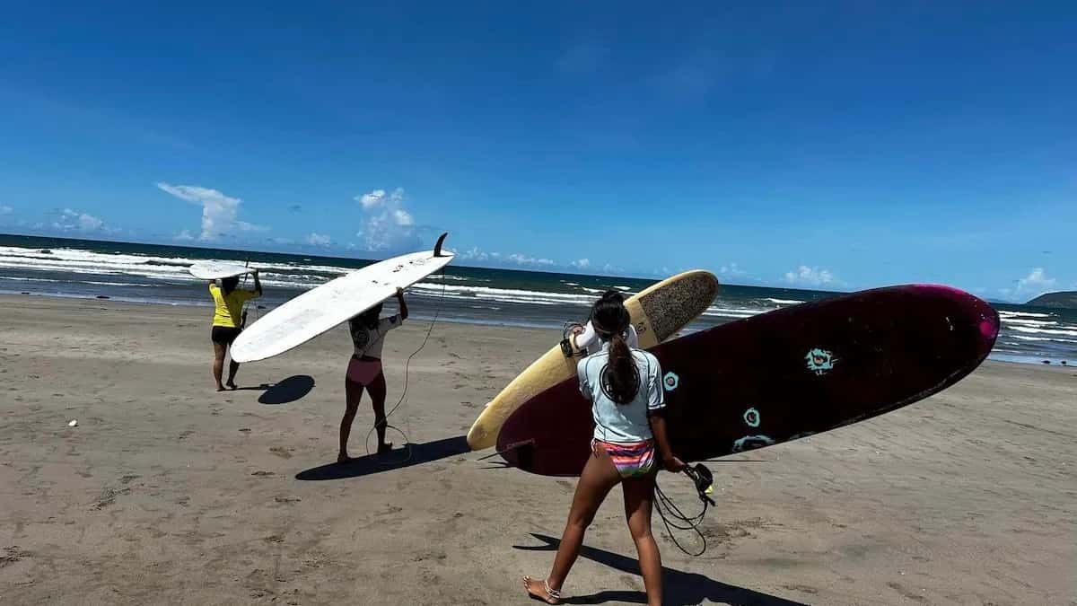 Net Surfers Club franchise