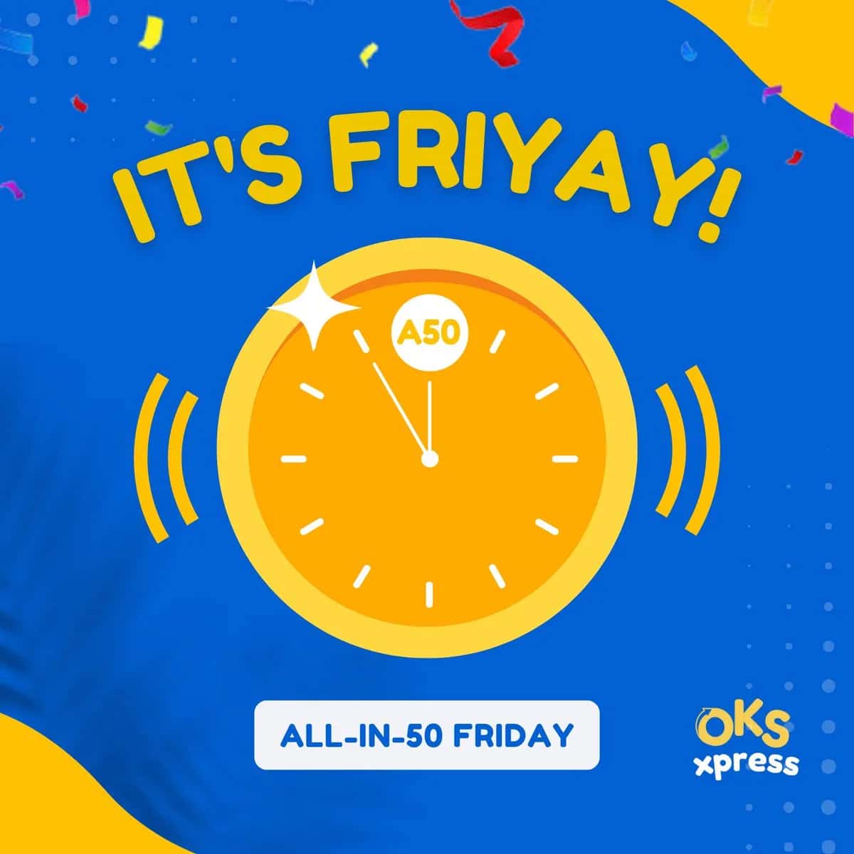OKS Xpress Courier franchise