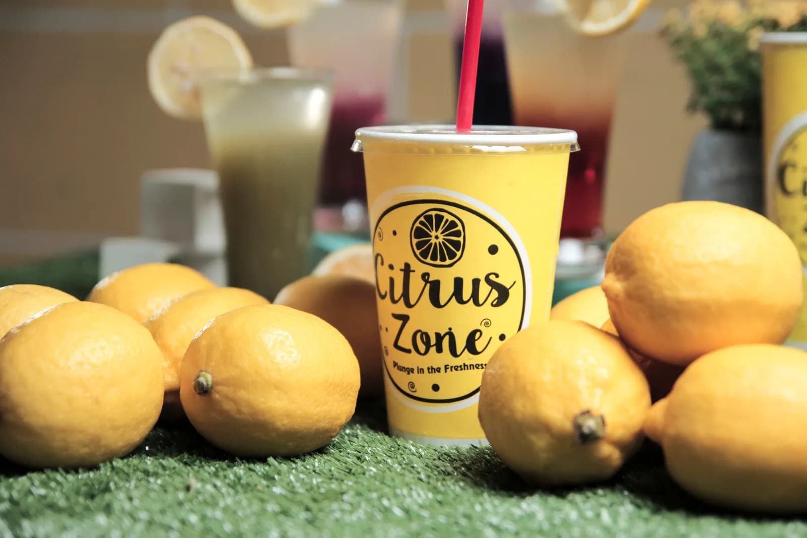Citrus Zone franchise photo