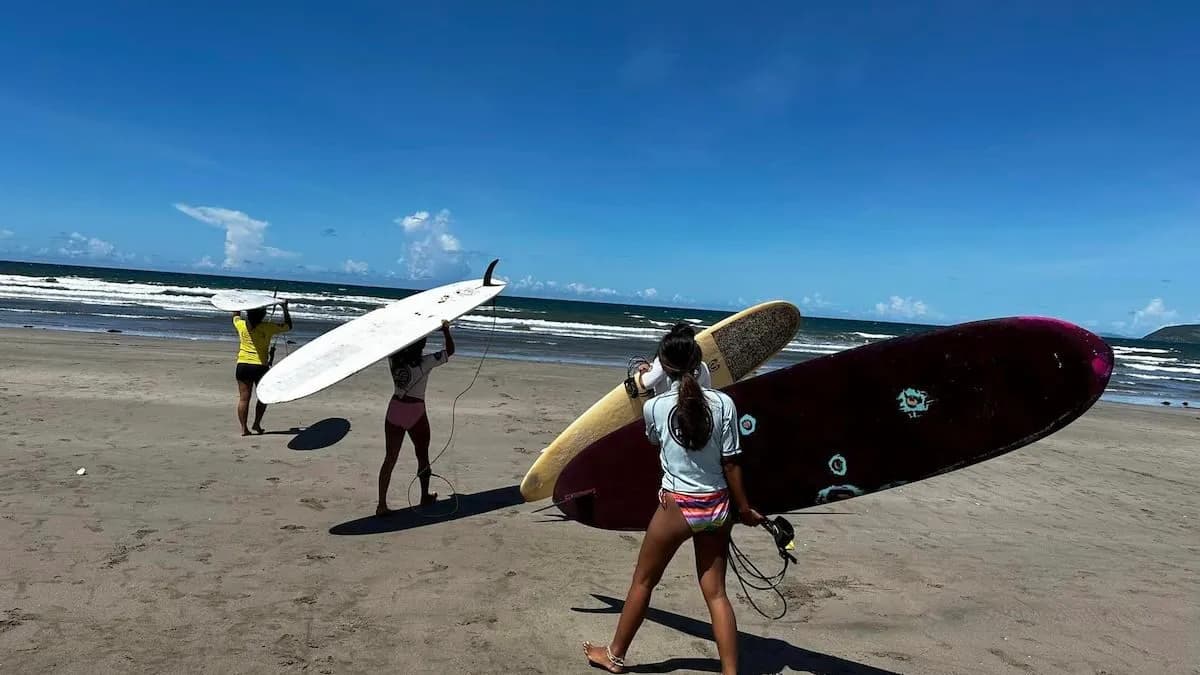 Net Surfers Club franchise photo