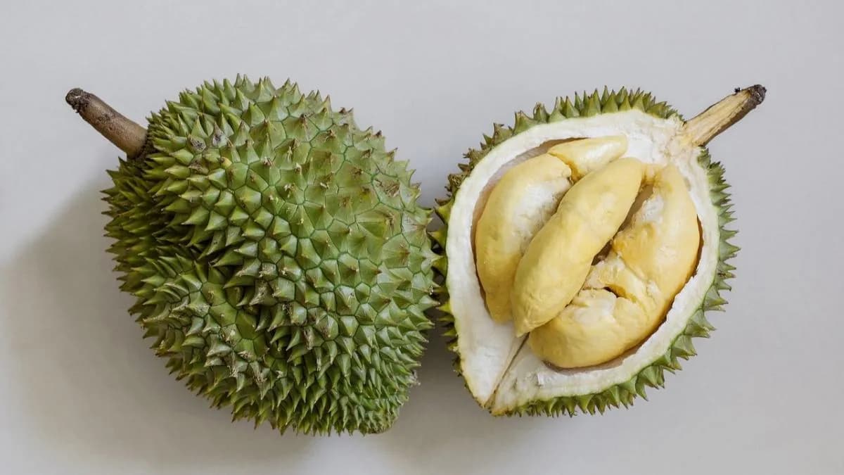Emerald Durian franchise photo Emerald Durian franchise photo