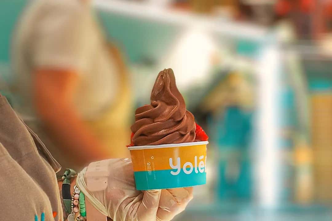 Frozo Soft Ice Cream franchise Frozo Soft Ice Cream franchise