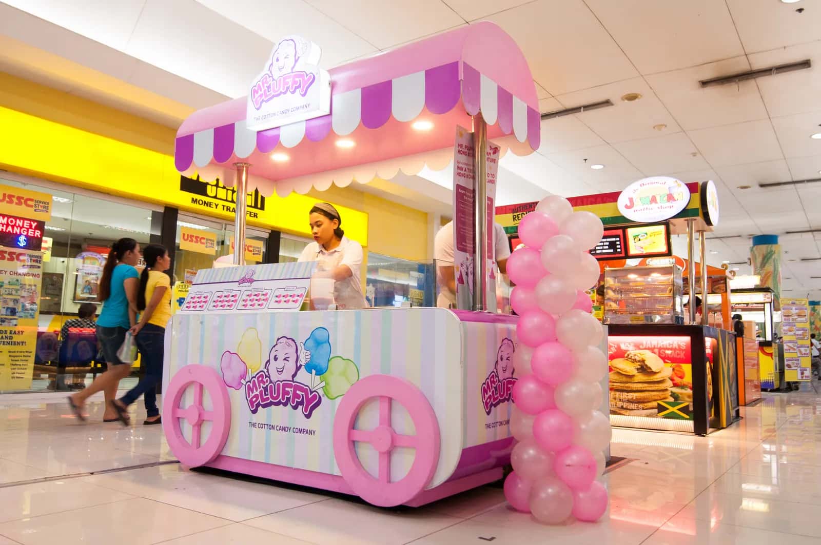 Mr. Pluffy franchise Mr. Pluffy franchise