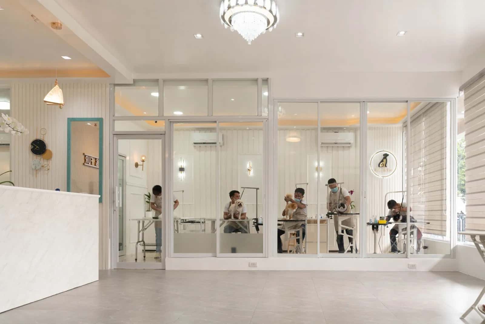 Paws & Fur franchise Paws & Fur franchise