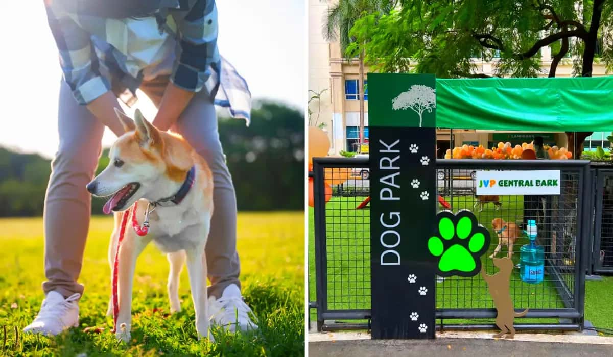 Pooch Park franchise Pooch Park franchise
