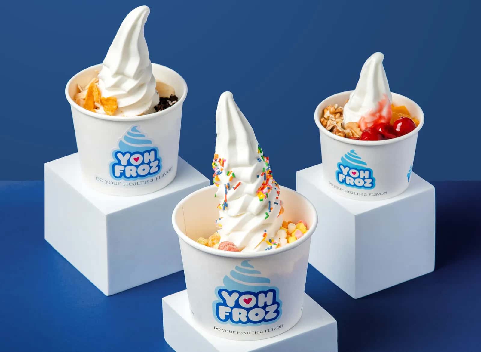 Yoh Froz franchise Yoh Froz franchise